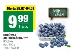 Spar Borówka amerykańska polska oferta