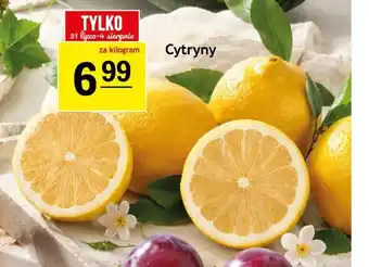 Gram Market Cytryny oferta