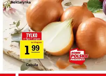 Gram Market Cebula oferta