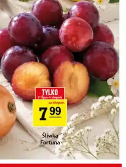 Gram Market Śliwka Fortuna oferta