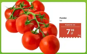 Dino Pomidor luz oferta