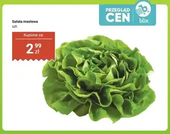 Dino Sałata masłowa oferta