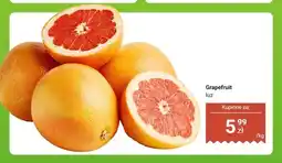 Dino Grapefruit luz oferta