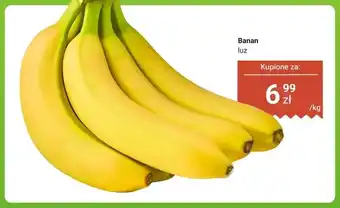 Dino Banan luz oferta