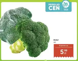Dino Brokuł oferta