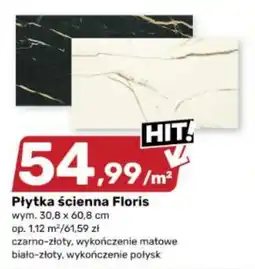 Bricomarche Płytką ściana Floris oferta