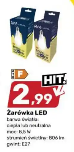 Bricomarche Żarówka LED oferta