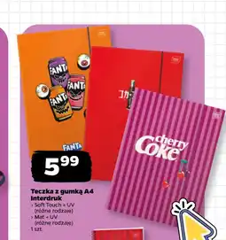 Netto Teczka z gumką A4 Interdruk oferta