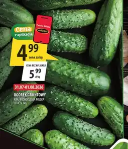Arhelan Ogórek Gruntowy oferta