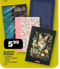 Netto Zeszyt A4 oferta