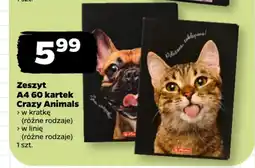 Netto Zeszyt A4 60 kartek Crazy Animals oferta