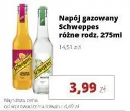 Torimpex Napój gazowany schweppes oferta