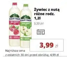 Torimpex Żywiec Zdrowe Żywiec z nutą oferta