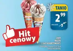 Arhelan Lody Rożek oferta