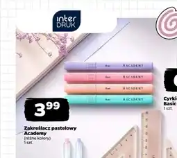 Netto Zakreślacz pastelowy Academy oferta