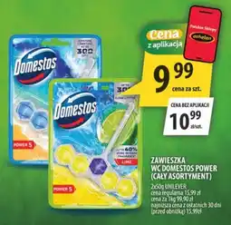 Arhelan Zawieszka WC Domestos Power oferta