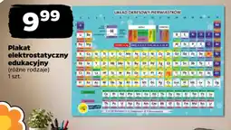 Netto Plakat elektrostatyczny edukacyjny oferta