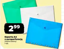 Netto Koperta A4 z europerforacją oferta