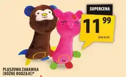 Arhelan Pluśowa Zabawka oferta