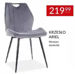 Abra KRZESŁO ARIEL oferta