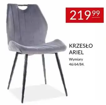 Abra KRZESŁO ARIEL oferta