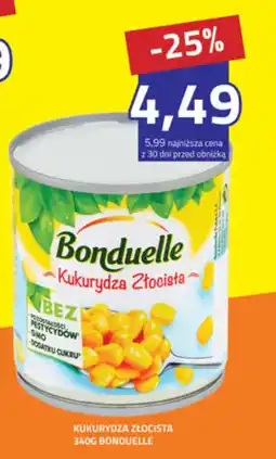 Hildebrandt Kukurydza Złocista Bonduelle oferta