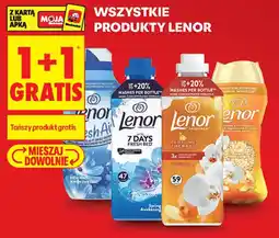 Biedronka Produkty Lenor oferta