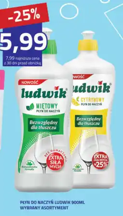 Hildebrandt Płyn do naczyń Ludwik Miętowy oferta