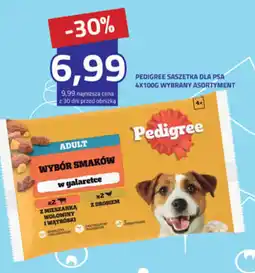 Hildebrandt Pedigree Saszetka dla psa oferta
