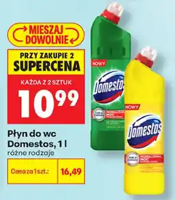 Biedronka Płyn do wc Domestos oferta