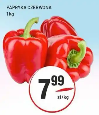 Sedal Papryka Czerwona oferta