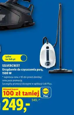Lidl Urządzenie do czyszczenia parą oferta