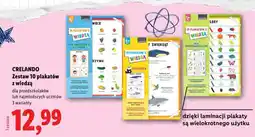 Lidl CRELANDO Zestaw 10 plakatów z wiedzą oferta