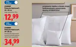 Lidl Livarno poduszka hydrocool oferta