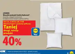 Lidl LIVARNO Wszystkie poduszki i kołdry Hydrocool oferta
