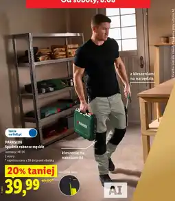 Lidl PARKSIDE Spodnie robocze męskie oferta