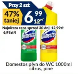 Sużyw Domestos płyn do WC 1000ml citrus, pine oferta