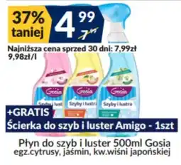 Sużyw Płyn do szyb i luster Gosia oferta