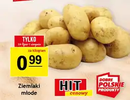 Gram Market Ziemniaki oferta