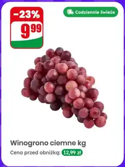 Dino Winogrono ciemne oferta