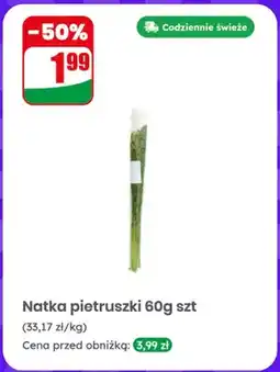 Dino Natka pietruszki oferta