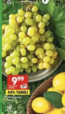 Delikatesy Centrum Winogrona białe oferta