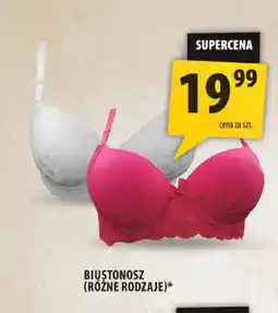 Arhelan Biustonosz damski oferta