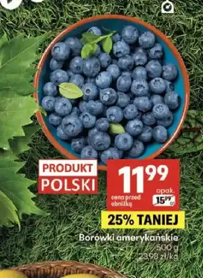 Delikatesy Centrum Borówki amerykańskie polskie oferta