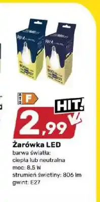 Bricomarche Żarówka LED AMM oferta