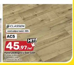 Bricomarche Panele podłogowe Dąb Caldi Classen AC5 oferta