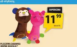 Arhelan Pluszowa zabawka dla psa oferta