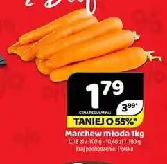 Delfin Marchew młoda polska oferta