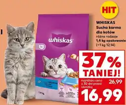 Kaufland WHISKAS Sucha karma dla kotów oferta