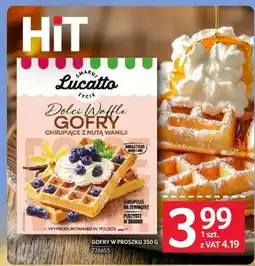 Selgros Gofry w proszku Lucatto oferta